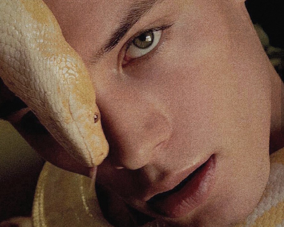 jackmartinez_fk's tweet photo. sssssssnake ,👅🐍

#fake #freerol #roleplay #gayrol #gay #rol #sexrol #sex #gaysex #fakeland #cutie #snake #model https://t.co/wc8EIeAsEk