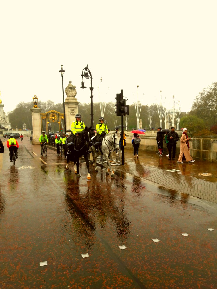 Doing some cycling for <a href="/ZedifyLDN/">ZedifyLDN</a> with <a href="/lunchaldesco/">The Aldesco Team</a>   the other day....
- Soho
- China Town
- Trafalgar Square
- Buckingham Palace 
- it was raining
- horses on the bike path!

Soooo London:)
Personally I was having a great time! It felt like I was getting paid to be a tourist!