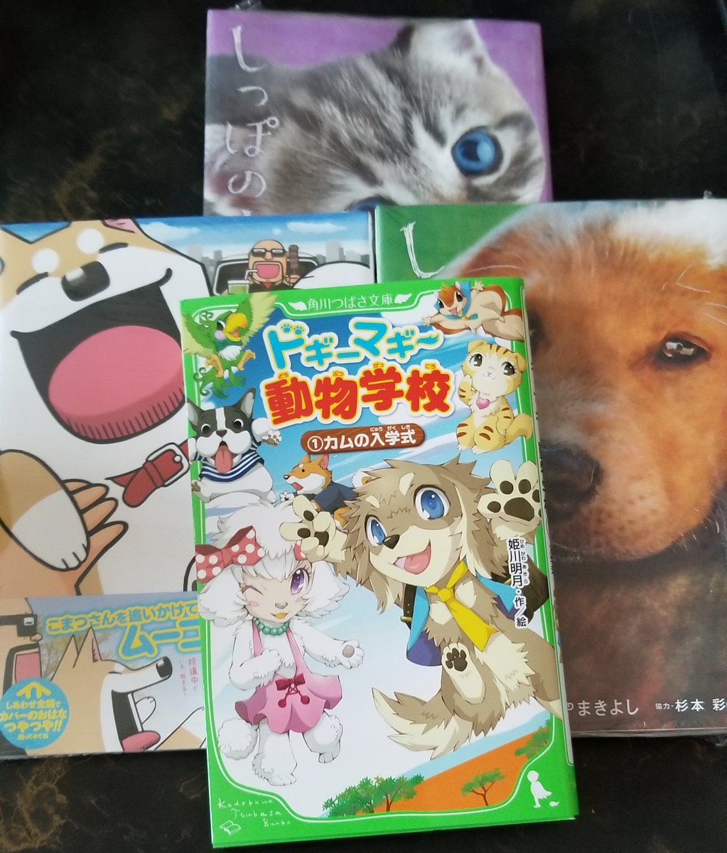 姫川明月 Twitter Search