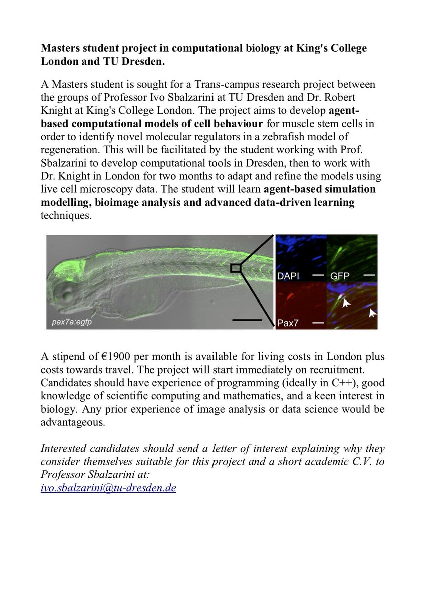 MOSAICgroup1's tweet image. Looking for a Masters Thesis in 2019? Here is an exciting opportunity combining @KingsCollegeLon and @tudresden_de with work done in both places and at @csbdresden @mpicbg See multiple top places in your project and work between Germany and the UK. Apply now!
