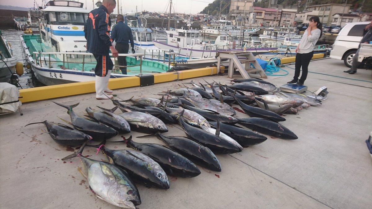 釣行報告 伊豆諸島が熱い 平成最後のキハダチャンス 森竜丸 浅ブロソルト