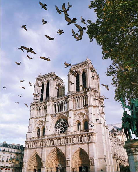 On a le ❤️ lourd. Mais pour nous, tu restes la plus belle des Dames. 
📷 VuThéara Kham
#Notre_dame_de_Paris