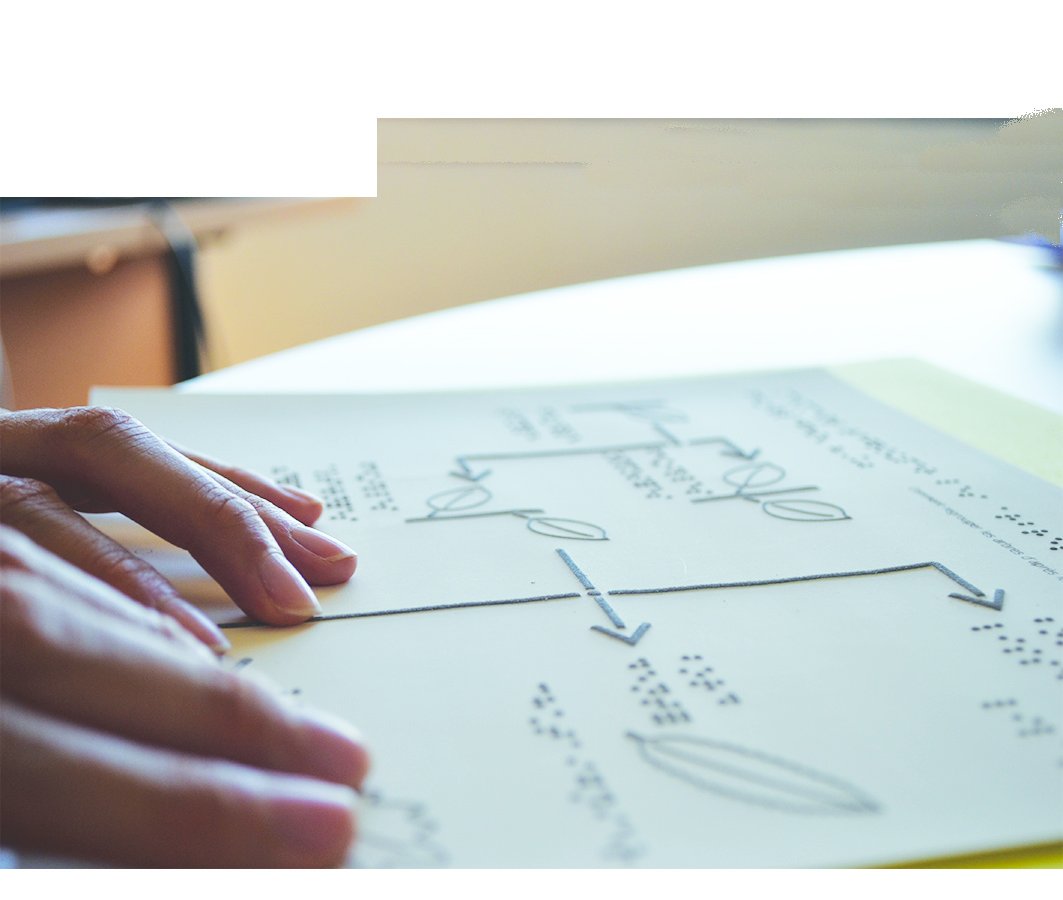 L'INSHEA avec la Commission évolution du braille français (CEBF) recherchent des volontaires braillistes (intégral et abrégé) #malvoyants ou #aveugles entre 15 et 35 ans. Participez à l'enquête ! 🔍ow.ly/zd2k50qqODh