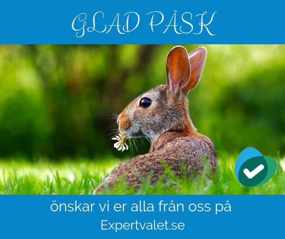 expertvalet's tweet photo. GLAD PÅSK!!!💐🐣🥚 https://t.co/gbuP3McS7B