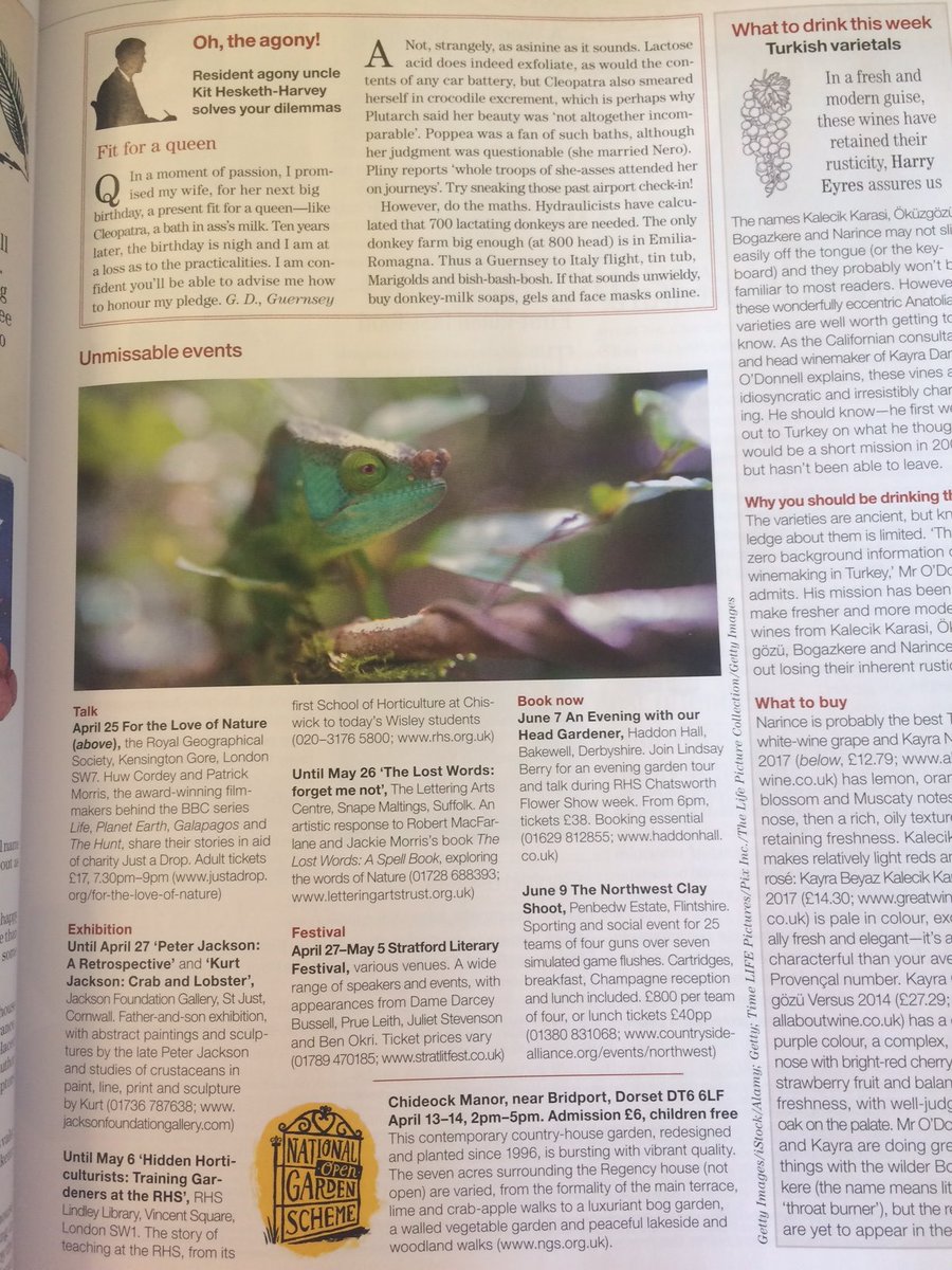 Lettering_Arts's tweet photo. We are delighted that our #exhibition 'The Lost Words - forget me not' appears in thiis week's 'unmissable events' in @Countrylifemag ! We are open each day over the Easter Holiday week-end. #thelostwords #snapemaltings #visitsuffolk #Suffolk #letteringartstrust #madebyhand #art https://t.co/fBm0UcKcNm