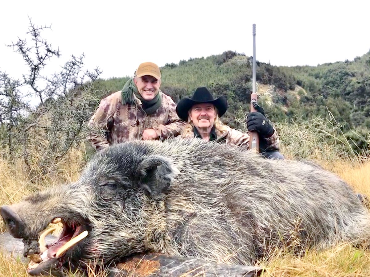 Colorado Buck tweet media