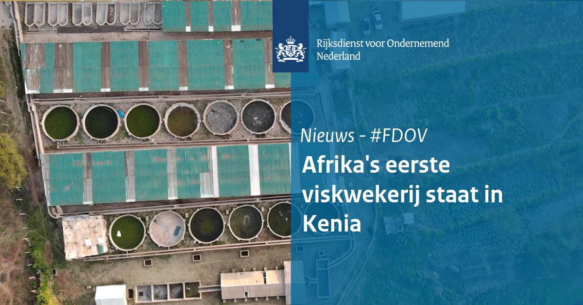 Viskwekerij Kamuthanga in #Kenia is bekroond met een 'Platinum EcoMark Africa' certificaat door <a href="/ARSO_1977/">African Organisation for Standardisation</a>. Het #aquacultuur programma <a href="/FoodTechAfrica/">FoodTechAfrica</a>, opgezet met steun van #FDOV, hielp hierbij: bit.ly/2Gkqwze #SDGP  <a href="/NLAgriKenya/">Agriteam Kenya</a>
