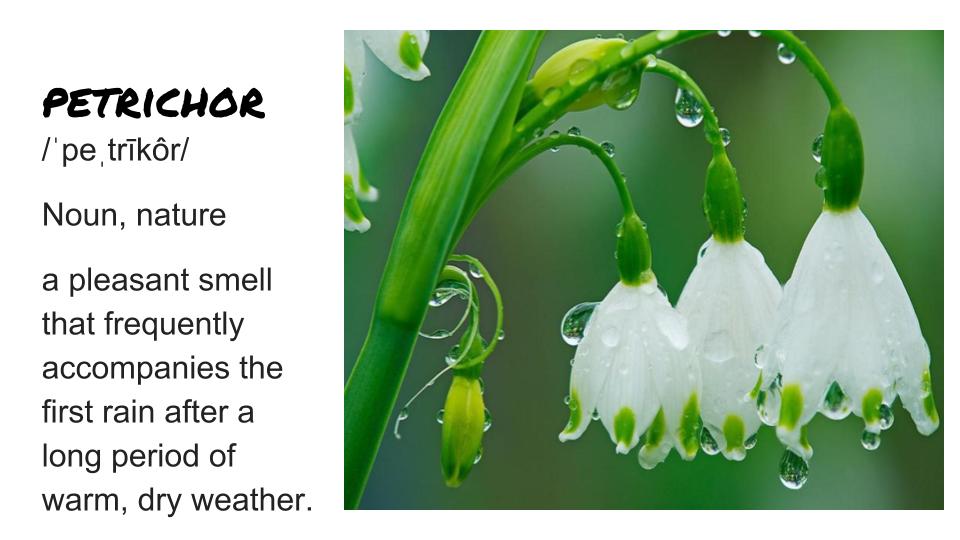 KeanWriting's tweet image. Something April definitely brings! Today's word is Petrichor, a pleasant smell that frequently accompanies the first rain after a long period of warm, dry weather.   #keancougars #keanwritingcenter #writingcenter
