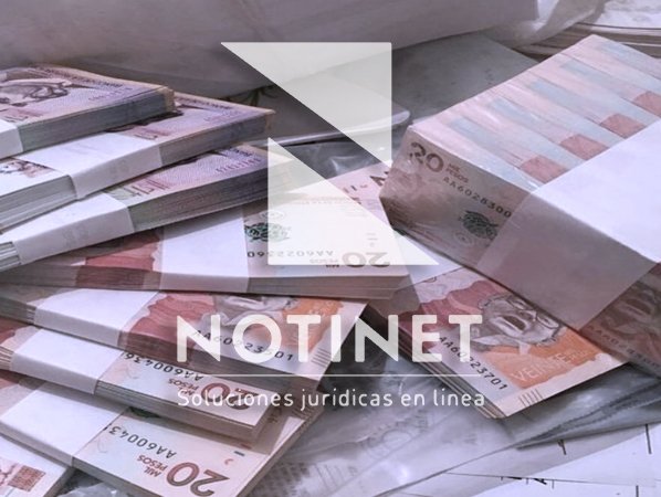 Notinet en Línea tweet media
