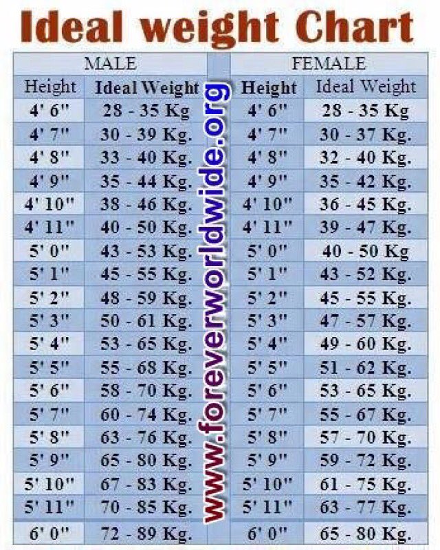 aloewhat's tweet photo. #Fitness “Do You Know Your Ideal Body Weight”? Free BMI AMR and BMR check online 24/7 https://t.co/Mt2sXjZQKT #CleanseandShape #WarfareObesityWorldwide #obesityandpovertypreventable #obesity #poverty #weightloss #Wellness https://t.co/vmQJb5wGjL