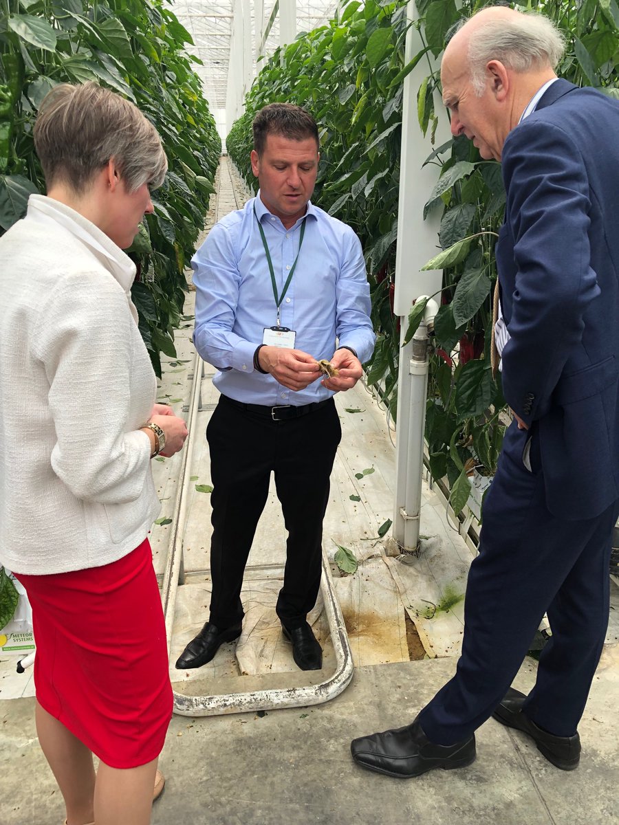 Visiting <a href="/GlinwellPLC/">Glinwell PLC</a> - close to carbon neutral, uses biological control and recycles waste. But the full time workforce and growth medium for seeds comes from Eastern Europe. If we leave on No Deal in October it will be at the worst time for these growers and many others