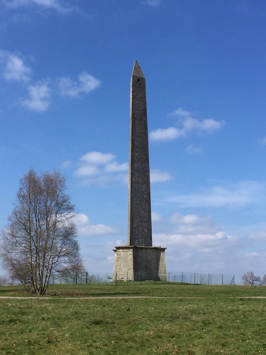 MHP Design tweet media