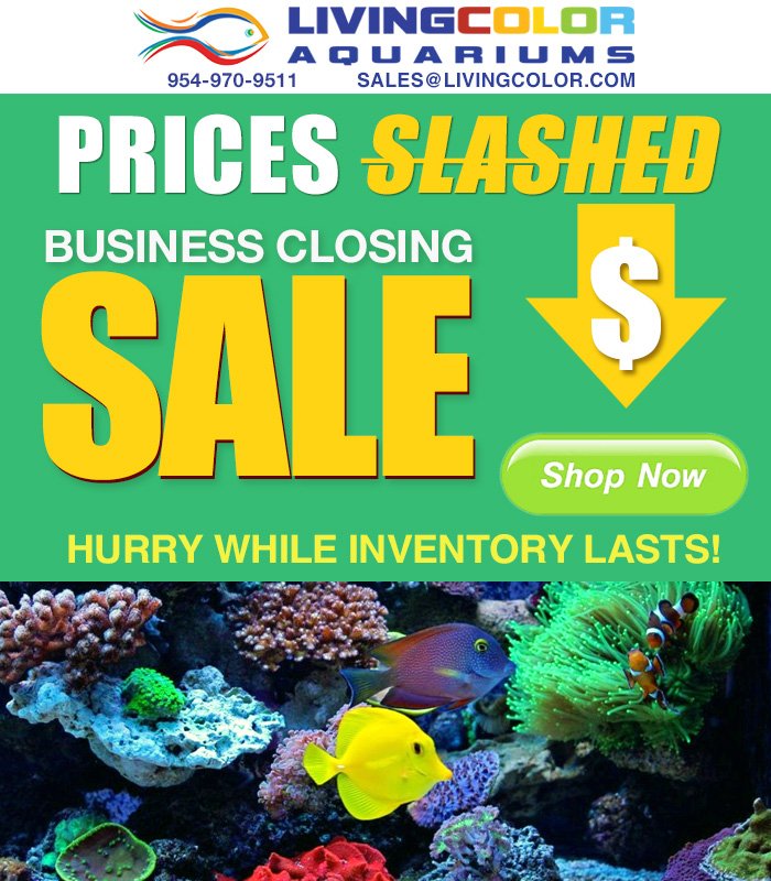 Saay Whaat? PRICES SLASHED! Business Closing Sale! ALL CORAL AND ACRYLIC must go!- mailchi.mp/283c333e9804/h…