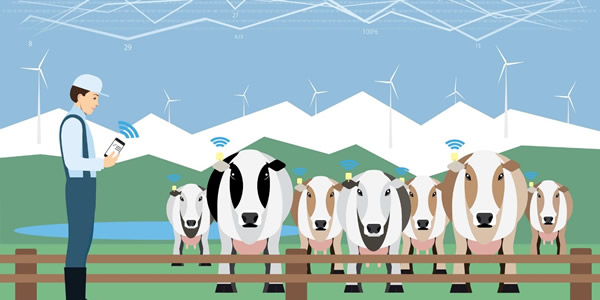 lgentilini's tweet photo. Working on a new IT Infrastructure, a new service that connects cows🐄 and technology🖥️ #Internetofcows #cows #IOT #Infrastructure #FutureReady #farmers @CineticaRSM https://t.co/LJZcvwJXMK