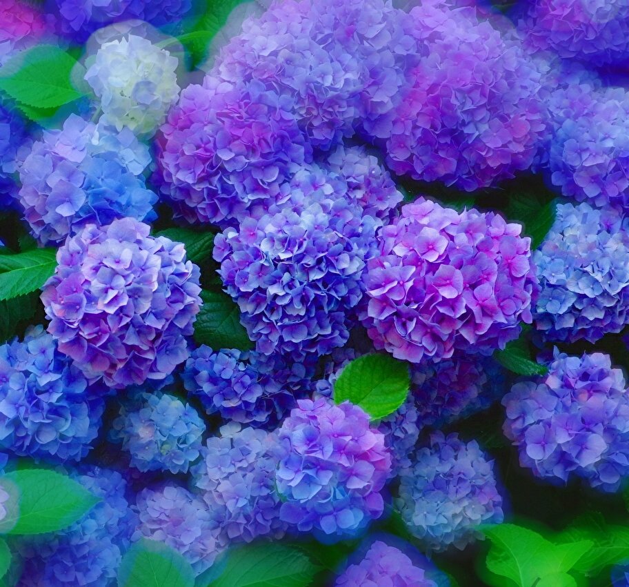 BeCitrus's tweet photo. ˗ ˏˋ 30 𝓭𝓪𝔂𝓼 𝔀𝓲𝓽𝓱 𝔂𝓾𝓷𝓪 ˎˊ˗ 
　 　 　 　 　 ��� 　 　 ➳ 𝓭𝓪𝔂 1. 𝓸𝓷 𝓼𝓽𝓪𝓰𝓮. [💕🌸] #YeJu https://t.co/bqNoLesYQ2