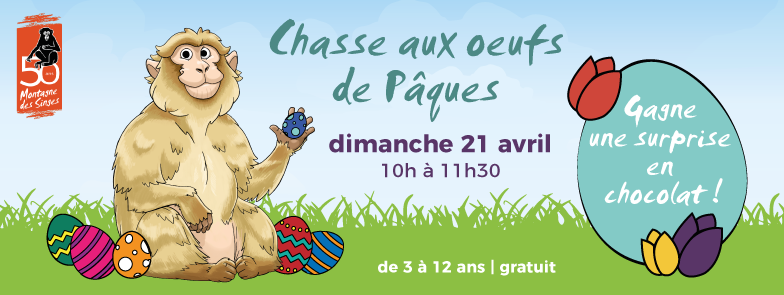 montagnesinges's tweet photo. 📌 ANIMATION ENFANTS PÂQUES
Participe à la chasse aux œufs de Pâques !
Dimanche 21 avril de 10h à 11h30 à la Montagne des Singes
Plus d'infos ➡️ https://t.co/M25spzDtPw
#50ansmontagnedessinges #kintzheim #visitalsace #animationenfants #chasseoeufs #paques #dimanchedepaques https://t.co/fQn7h2PGJf