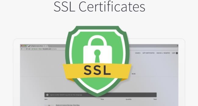 Alerta Hosting tweet media