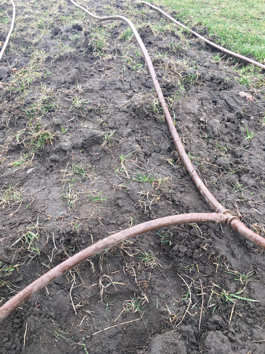 flemingdonpm's tweet photo. Installation of the Irrigation System at our farm has been completed. We're good to go! #FPM #IrrigationSystem #UrbanFarming #2ndHarvest #FoodRescue #WeAreDailyBread #FoodShareTO #EGBrickWorks #GGyouthcentre #COBSBread #EpiBread https://t.co/6f1VVwyhqr