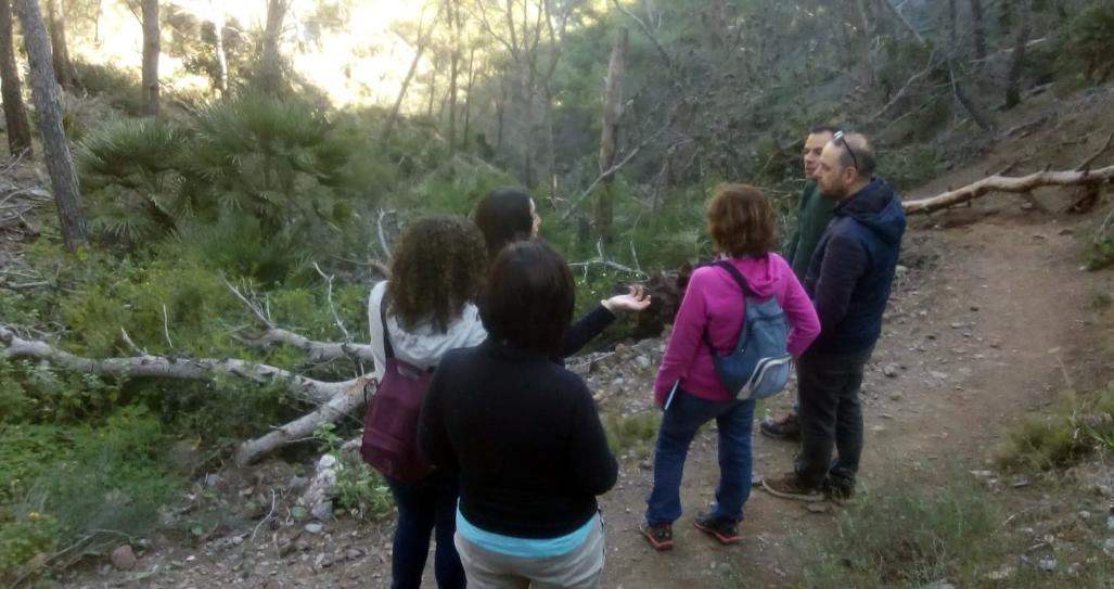 Visita de campo de la @UPCTnoticias , técnicos del <a href="/ProgramaFlora/">ProgramaFlora R.Murcia</a> y del #EquipodeGestión de #CalblanquePR de la #DirecciónGeneralMedioNatural para coordinar acciones de #conservación de la #JaradeCartagena 👐🌸