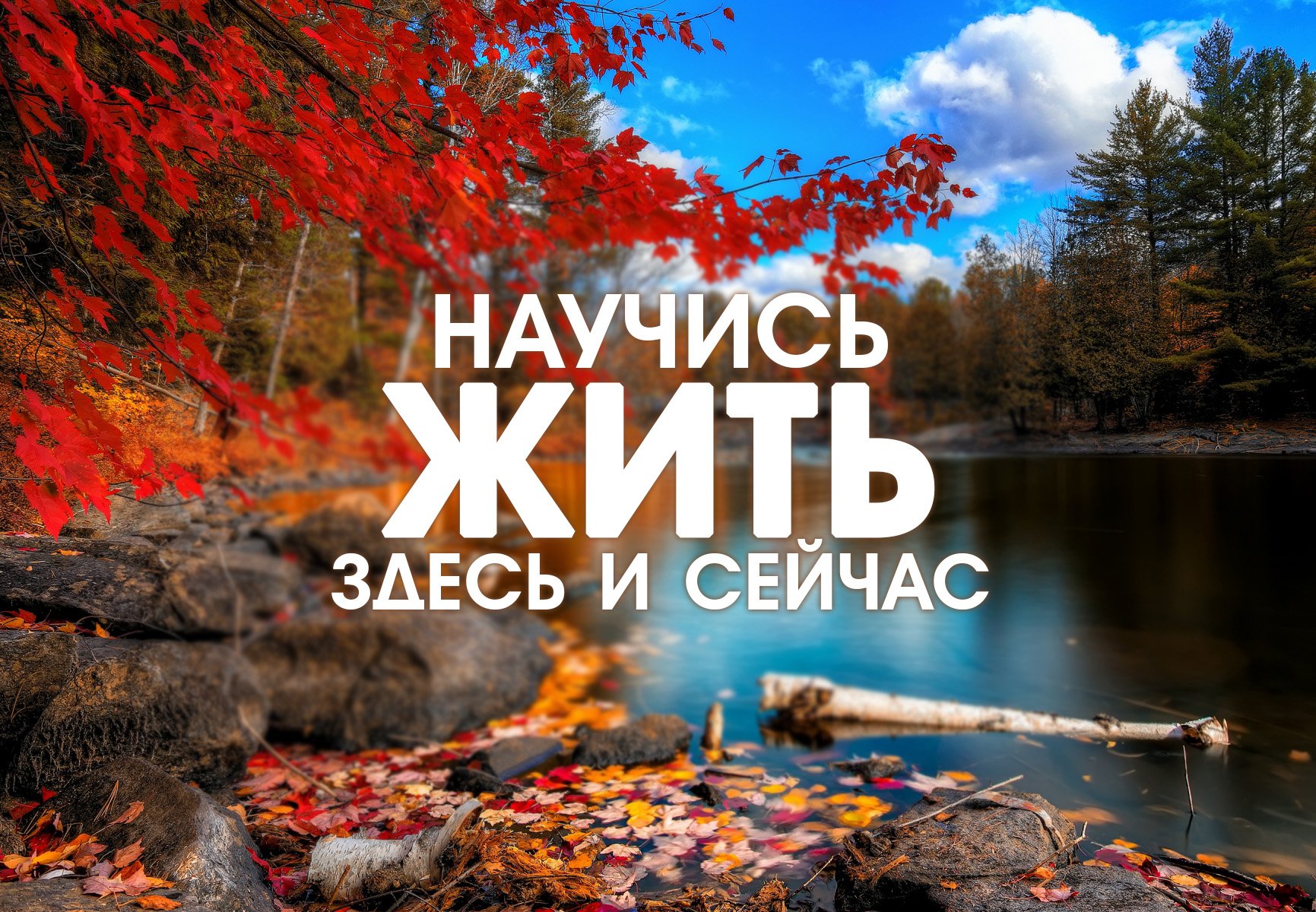 Живи здесь и сейчас