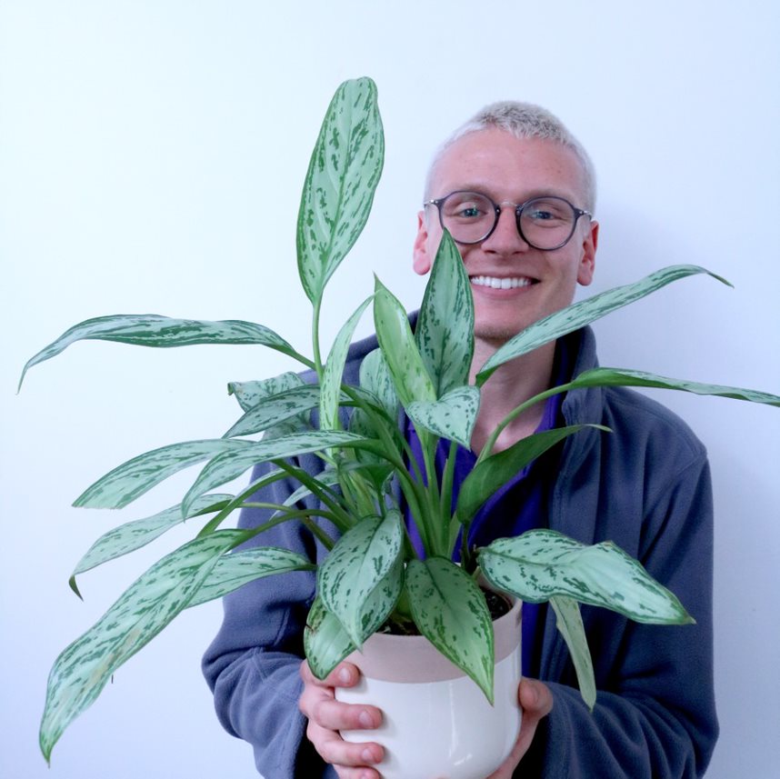 PlantDesignsLdn's tweet photo. #MeettheTeamTuesday
This is Dan, our #EnvironmentalManager & #Horticulturalist.
Fun Fact:
Dan shares his bedroom with his pet #gecko Charlie who he's had for over 15 years 🦎 https://t.co/pCrJVWlczI