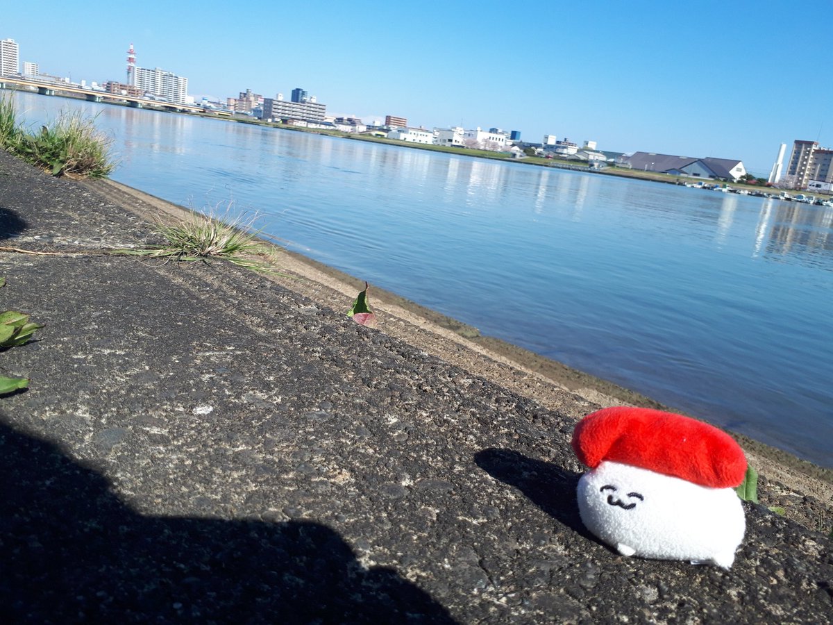 のた tweet media
