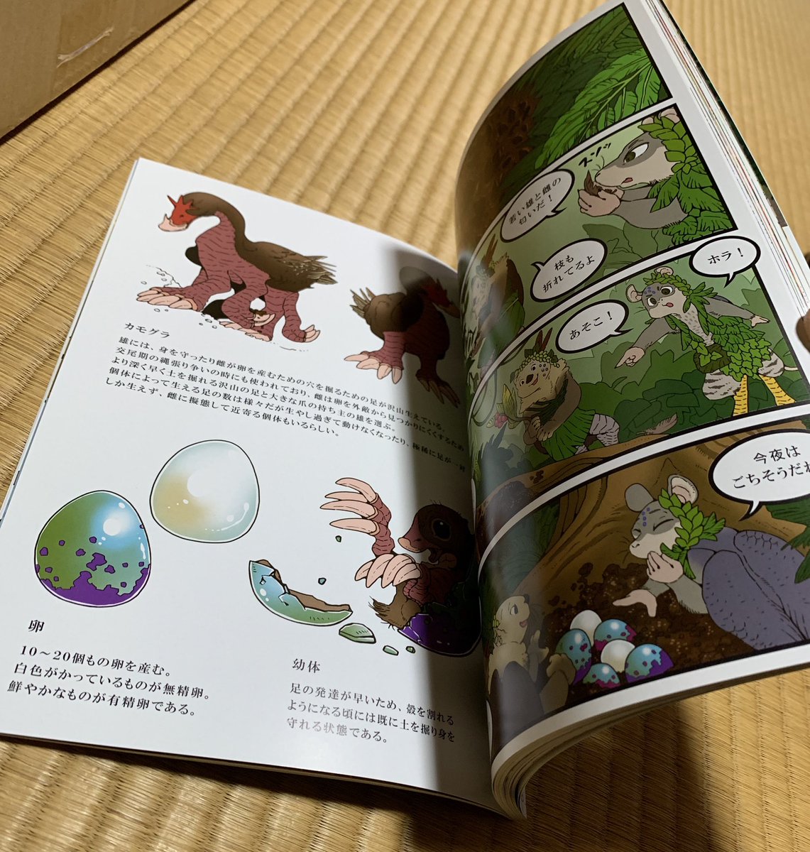 みてみてみて!!とどいた〜〜前と比べて厚いぜ…! 