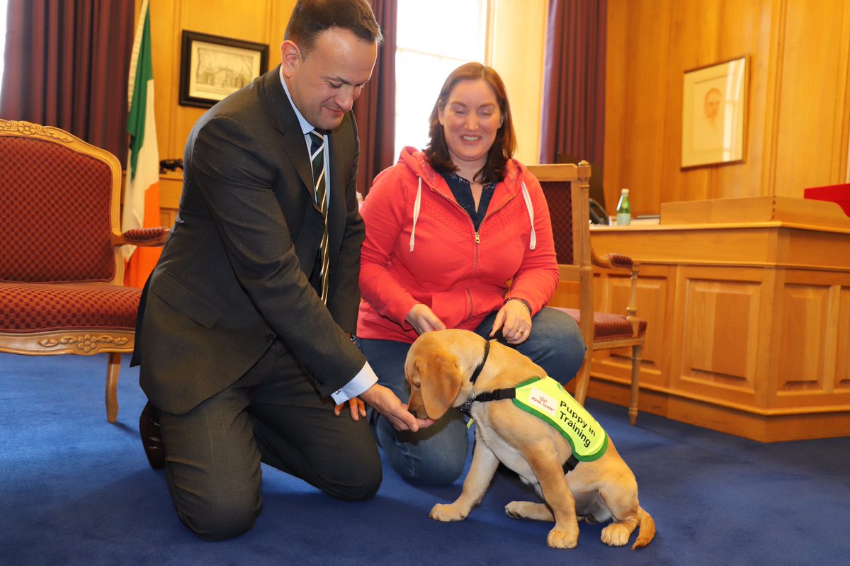 GovIE's tweet image. An Taoiseach Leo Varadkar welcomed some visitors to Government Buildings ahead of Irish Guide Dogs for the Blind's one day national fundraising campaign #GuideDogDay which takes place on Friday 10th May