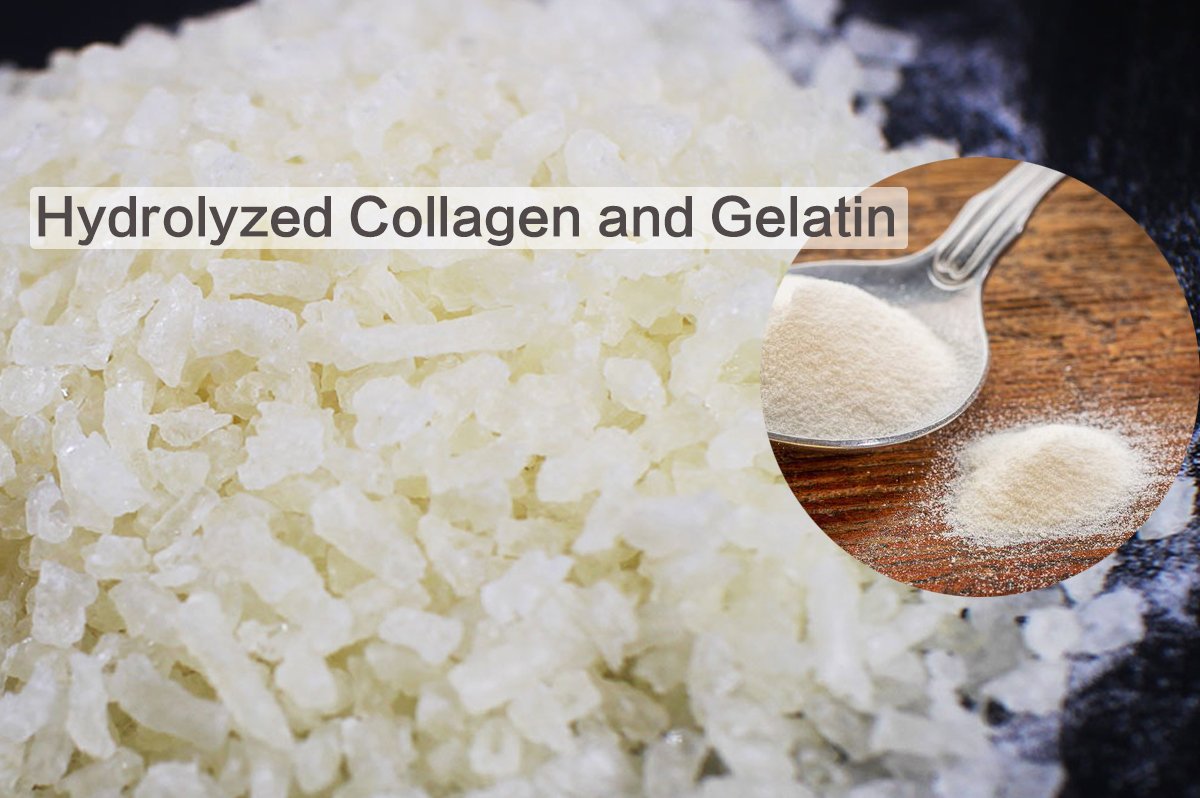 Foodmate Group on Twitter "Do you know the differences between