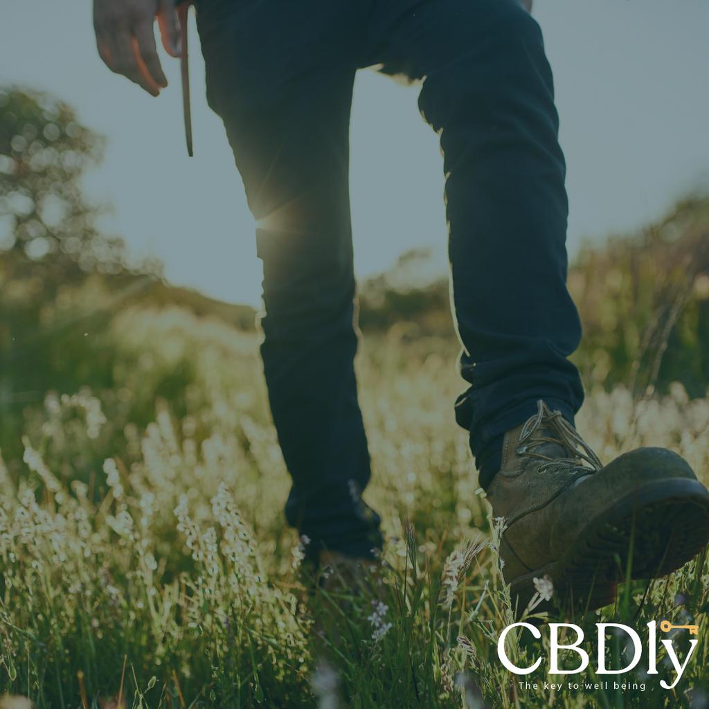 cbdly_uk's tweet photo. Explore the world! CBD can have a great impact on inflammation and bone strength in the body, allowing you to move more for longer! #cbd #cbdoil #canabidiol #cbdhealth https://t.co/udRCwzqyHx