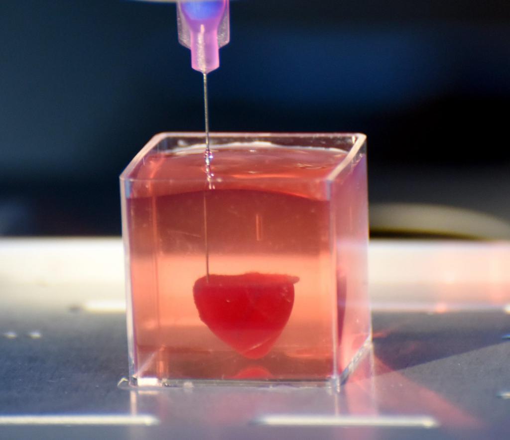 JuCastelnau's tweet photo. Des scientifiques impriment en 3D un cœur à partir de tissus humains, bientôt la greffe possible sans rejet immunitaire ! 😮 #techno #technology #innovation #Sante 
👉https://t.co/vk00L1Tju4 https://t.co/WiPFf7fD0B