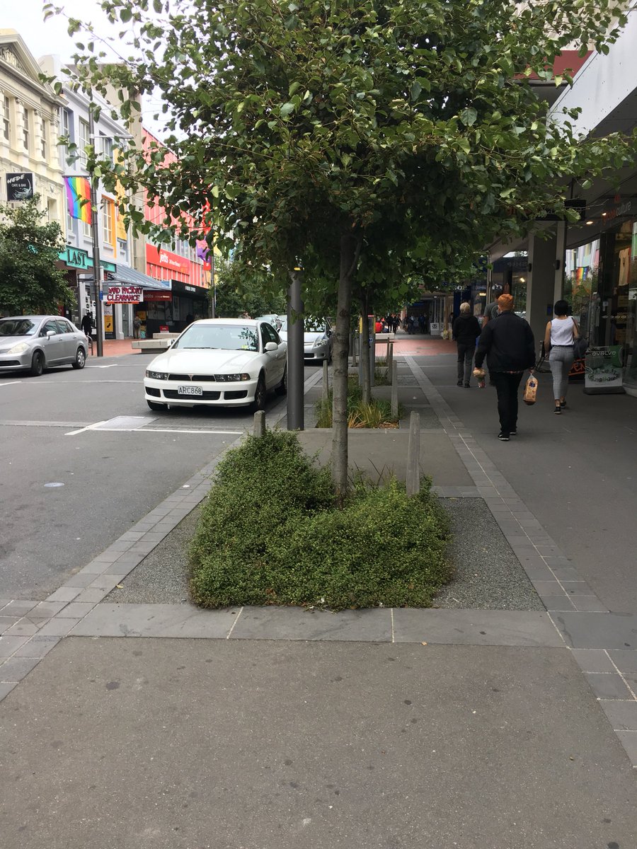 Gayle_GSB's tweet image. Tomorrow I’m presenting “aging naturally” to the @AUTuni Never2Old group. Regardless of whether we start on a farm, in the city, or with a window box, we all need nature for health &amp;amp; wellbeing #designfornature #ChooseLandscape #activeaging