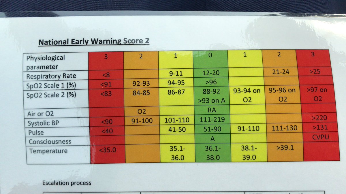 RGN-Team tweet media