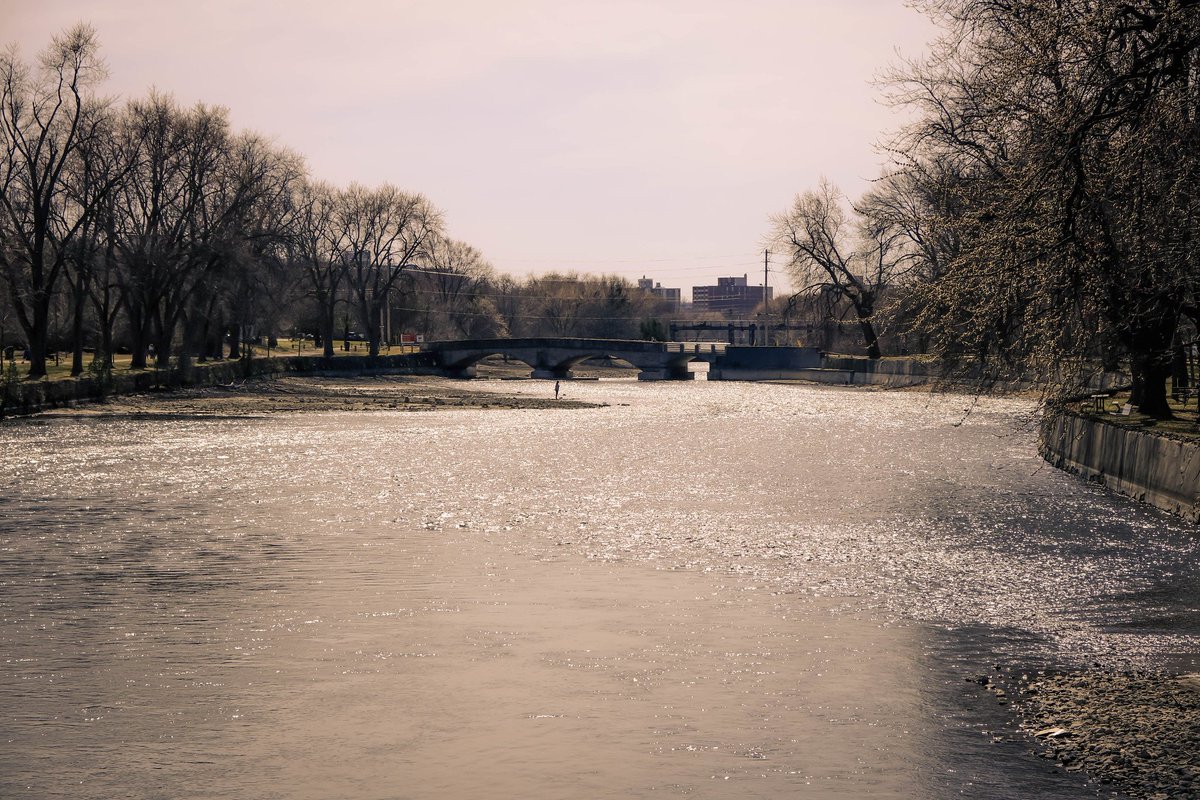 5_annable's tweet photo. Spring for one day in Guelph last Saturday. #Guelph https://t.co/5sR7U35toB