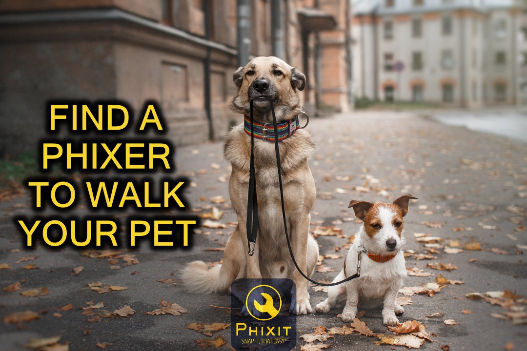 PHIXITOFFICIAL's tweet photo. Find someone you can trust to walk your pet while away. Feel confident that your family member is in good hands with PHIXIT. 🐕 🐶 .
.
Follow the new movement 🔥🔥🔥
.
.
.
#dogsitter #catsitter #petsitter #doglife #dogsitting #ilovemydog #doglover #smallbusiness https://t.co/SnfD4gfwvN