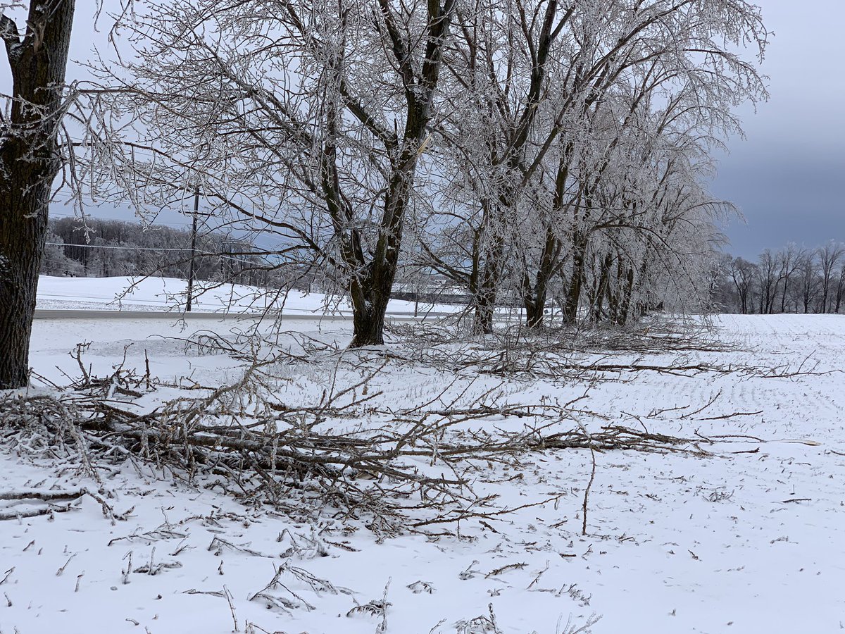 Mid April ice storm made a heck of a mess