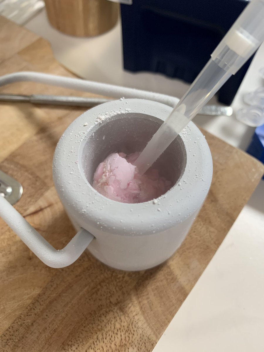 ProfAllieG's tweet photo. Had a fun &amp; productive afternoon in the lab with @CIMA_Ageing MRes student Favour extracting RNA from human bone samples! #PIintheLab #ProfintheLab #rna #bones #seemyscience #scienceisfun 1/2 https://t.co/XygY6KyfBw