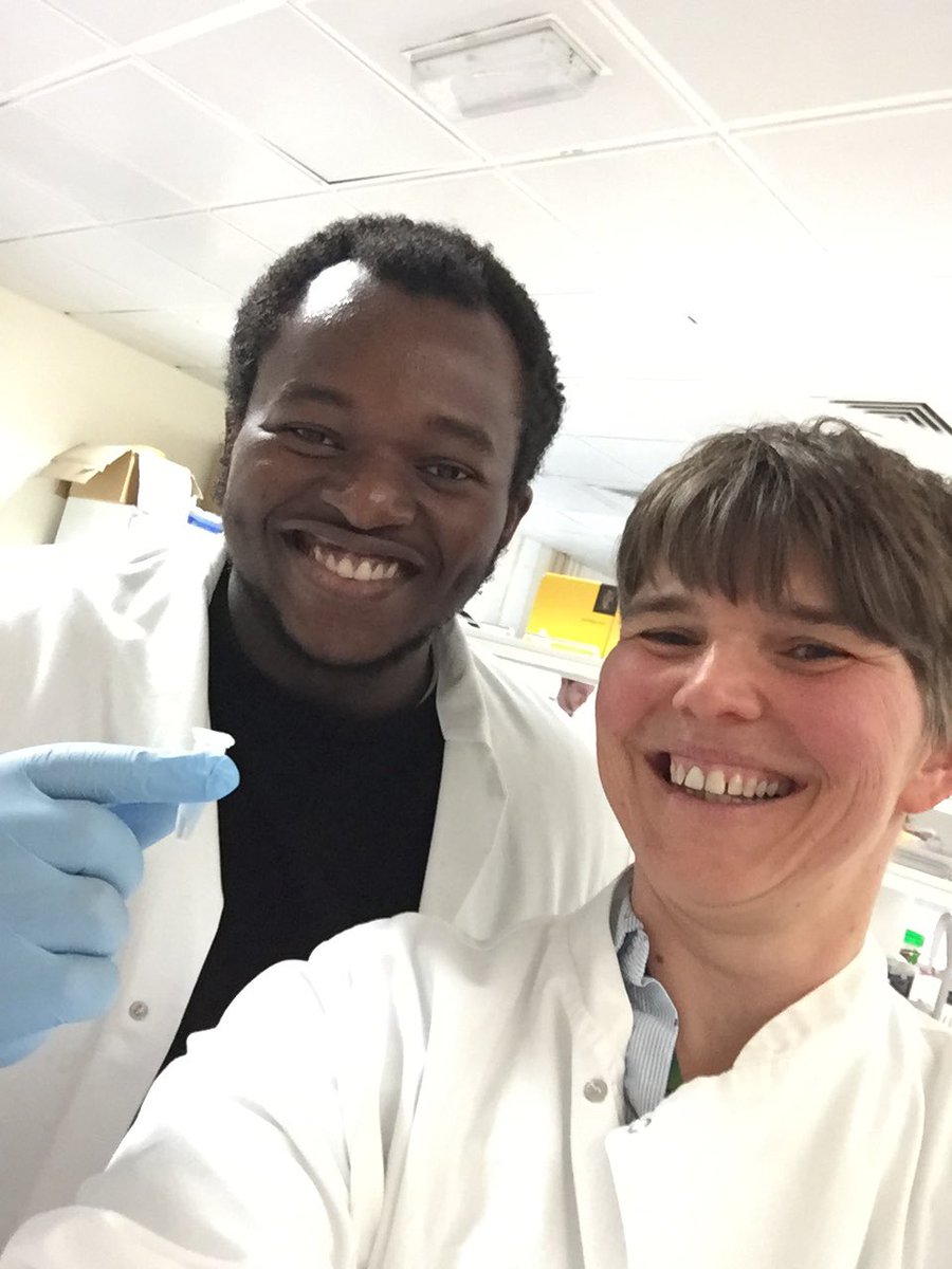 ProfAllieG's tweet photo. Had a fun &amp; productive afternoon in the lab with @CIMA_Ageing MRes student Favour extracting RNA from human bone samples! #PIintheLab #ProfintheLab #rna #bones #seemyscience #scienceisfun 2/2 https://t.co/MlhwQFwnlX