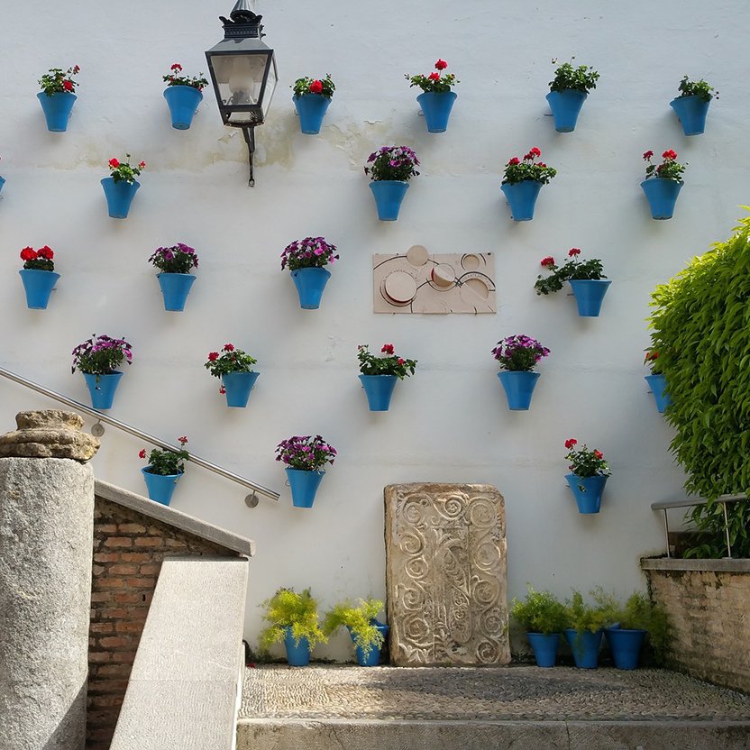 OciodeLujo's tweet photo. ¿Quieres conocer Córdoba, su gastronomía y sus patios? 

Córdoba de ensueño 🌼🥘🌞

https://t.co/D3OzLN0KSd

#cordoba #ociodelujo https://t.co/j0RJrSgkFD