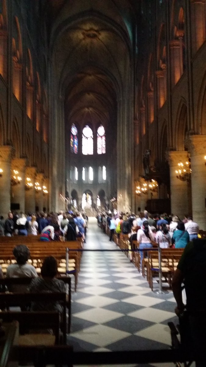 Marjorie THEVENOT PROVILLE tweet media