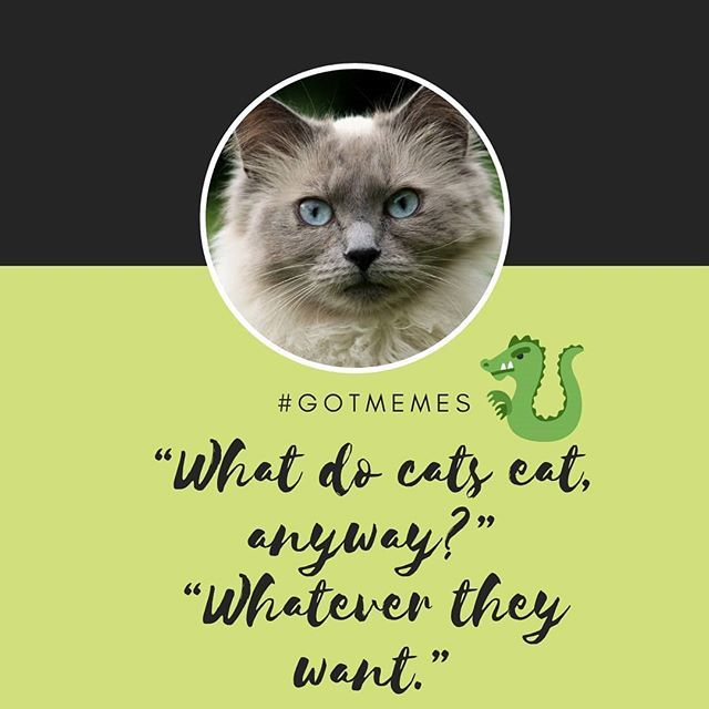 GigaReel tweet media