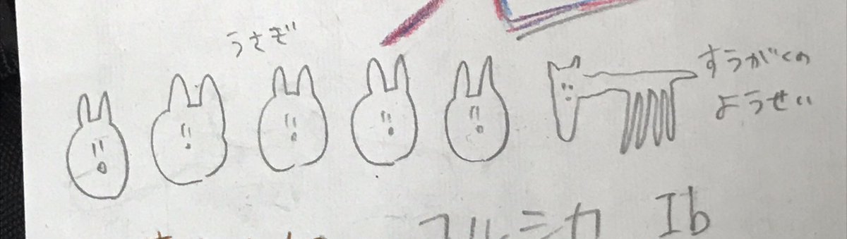 mkn___nn's tweet image. 自己紹介にかきました