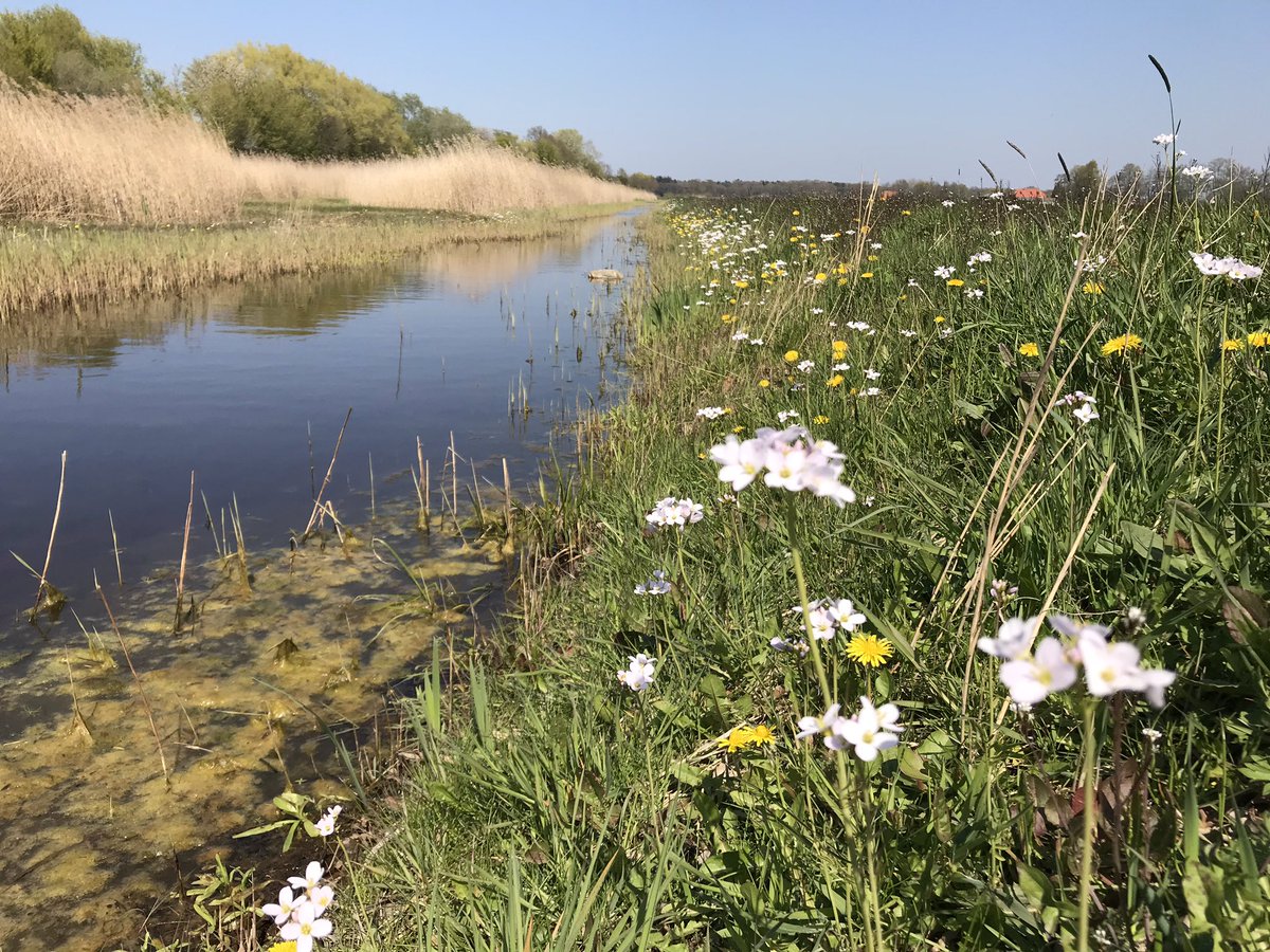 iedjee's tweet image. Op de fiets door het mooie #salland #aspergeroute @infosalland