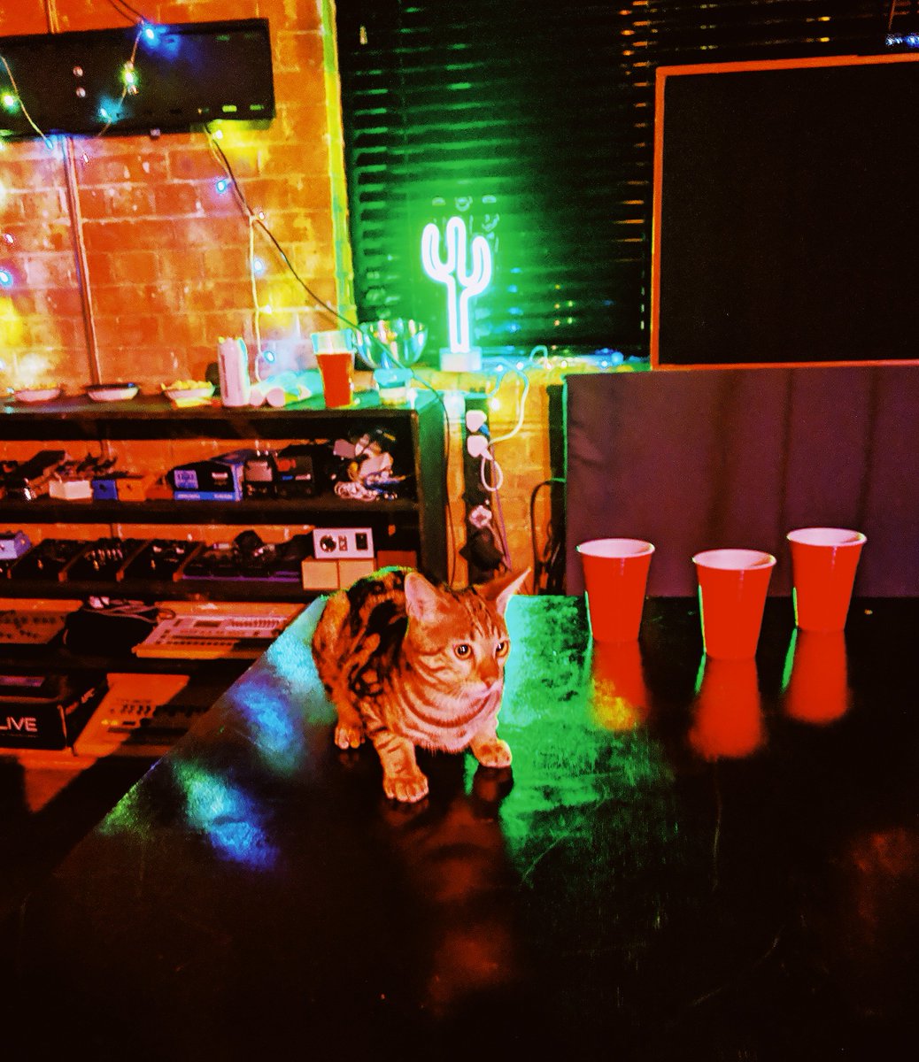 playdeepstudios's tweet photo. me chillin on the #beerpong table watching @melleefresh and @clivealive0 rule 👑👑 #proudkitty https://t.co/DWXm63D4OT