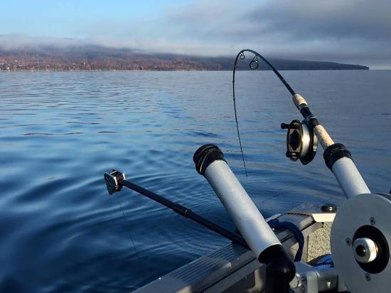 FishUniversity2's tweet photo. Ever wanted to do some fishing from a boat? Your in luck! The Great Lakes this time of year has an amazing Salmon fishery. These fish are primarily targeted by trolling, which is a technique that involves dragging your lure with the speed of your boat while you drive it! https://t.co/pqDHH1UfAh