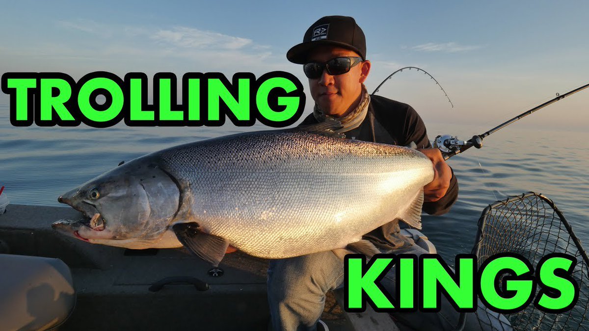 FishUniversity2's tweet photo. Ever wanted to do some fishing from a boat? Your in luck! The Great Lakes this time of year has an amazing Salmon fishery. These fish are primarily targeted by trolling, which is a technique that involves dragging your lure with the speed of your boat while you drive it! https://t.co/pqDHH1UfAh