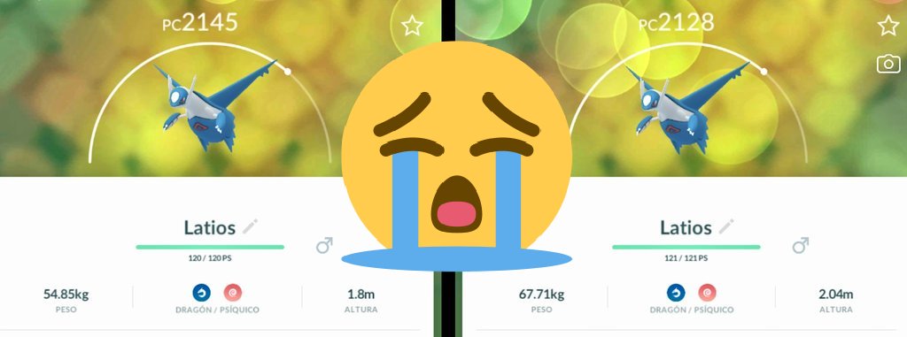 ChrisBapoGG's tweet photo. Trainers
Como va vuestro #LatiosRaidWeek a mi de momento nada y encima Muy bajitos de IV 😭
Habra que seguir buscandolo..
Espero que a vosotros os vaya mucho mejor.
Recordad que hoy también comienza el #Eggstravaganza con #Buneary Shiny ✨
Good Luck ✨✨💪💪😎😎
#PokemonGO https://t.co/MkrRsvKFEi