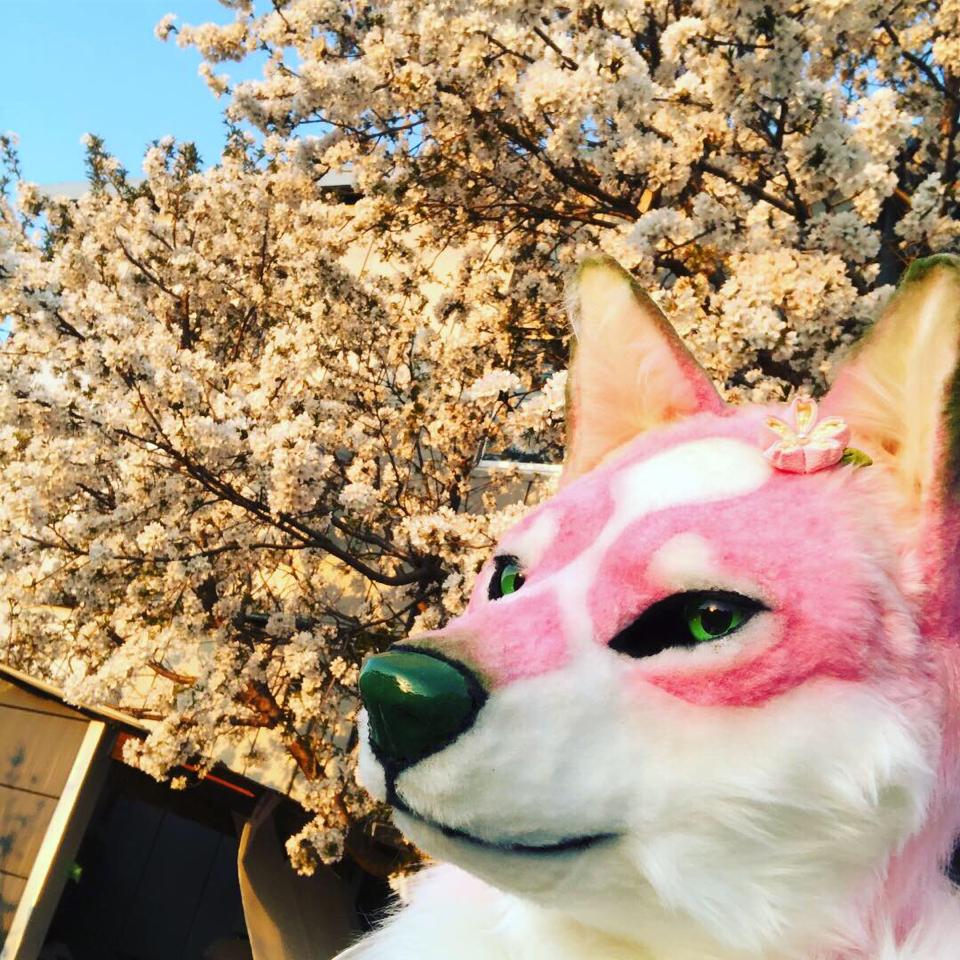 はらら tweet media