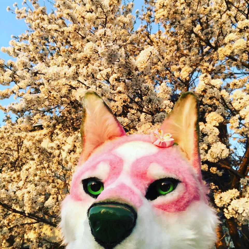 はらら tweet media