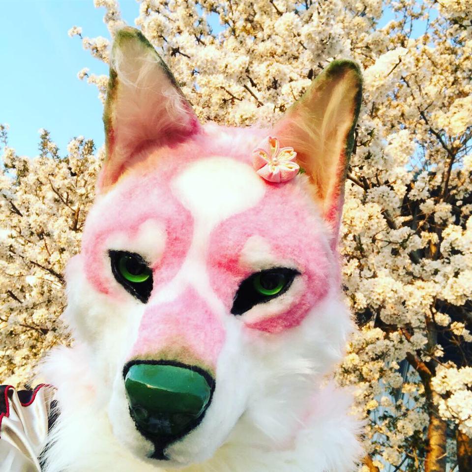 はらら tweet media